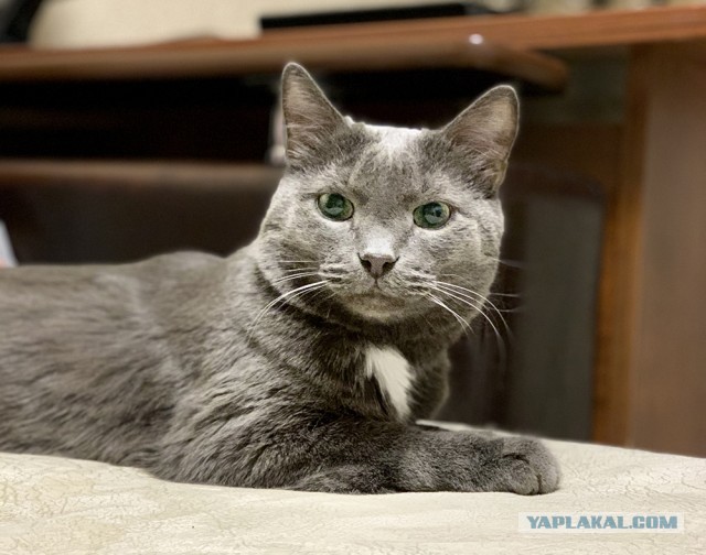 Безымянная извечная битва