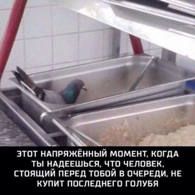 Так себе картинки 02.02.26