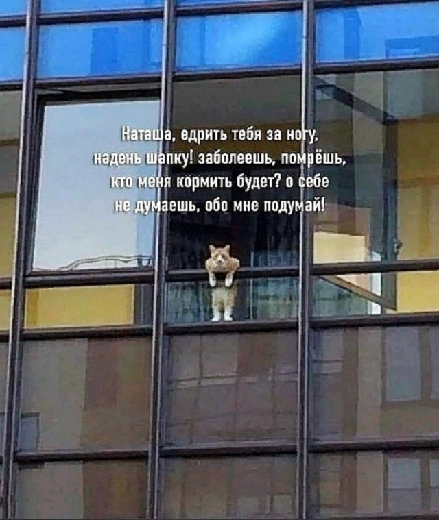 Всякой Хни вам в ленту, дорогие деграданты