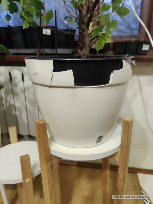 Конкретный вопрос — конкретный ответ⁠⁠