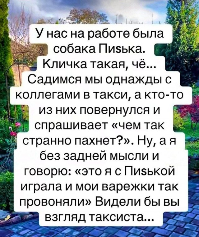 Картинки для деградации 195 (разной степени свежести)
