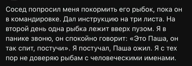 Веселые картинки в пятницу (10.07)