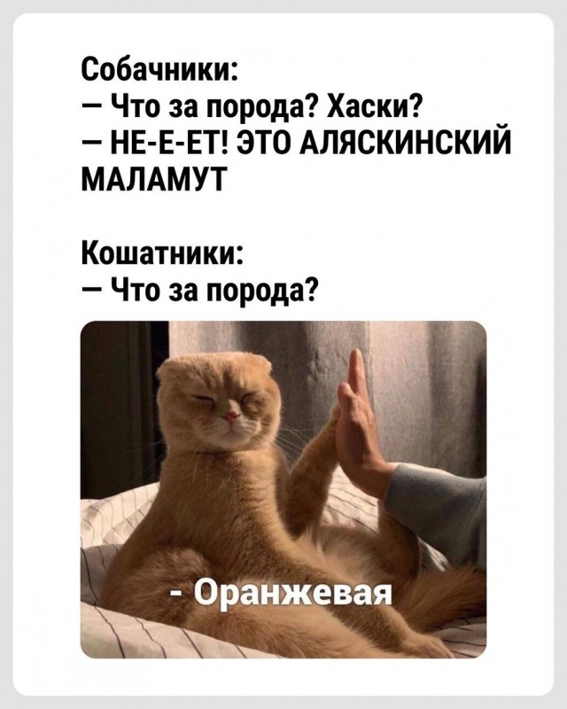 Так себе картинки 18.08.26