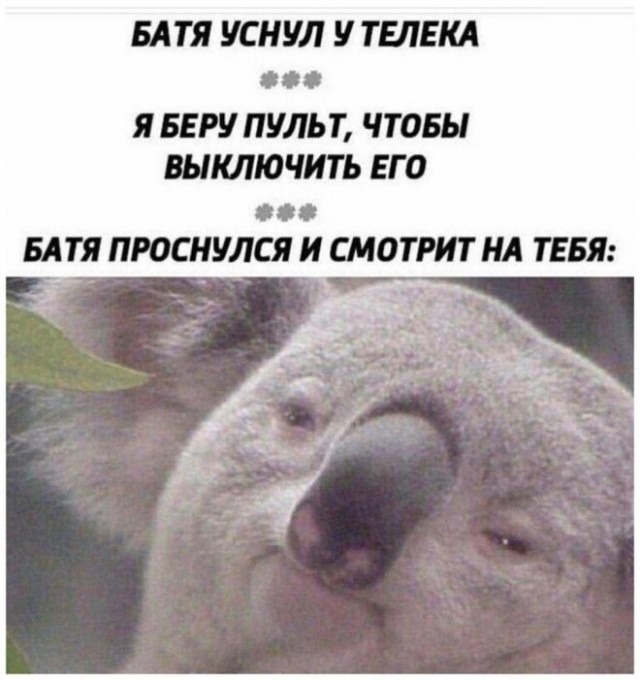 Веселые картинки в пятницу (28.08)