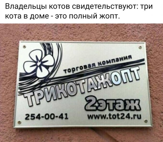Веселые картинки в последний день лета (31.08)