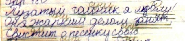 Барсук. Изложение.