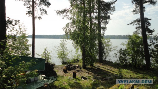 Вуокса 2014