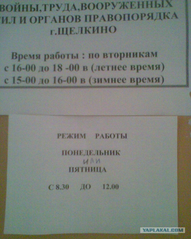 Последнее фото с Вашего телефона.