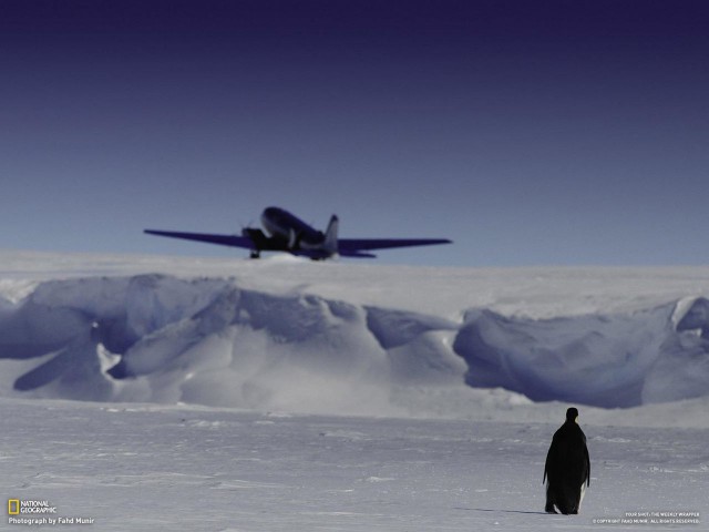 National Geographic,избранное...