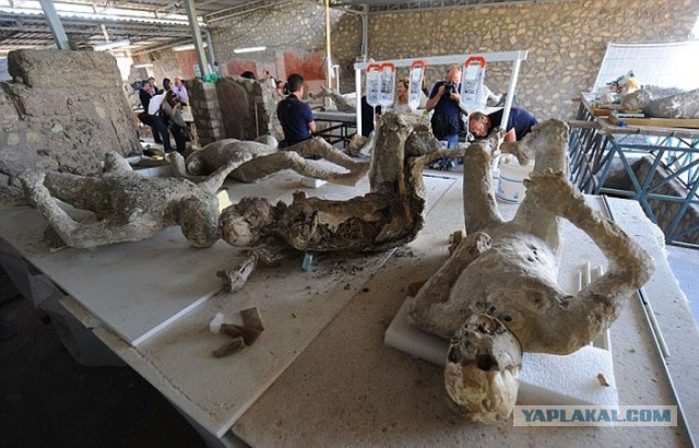 Что находят под застывшей лавой Везувия в Помпеях