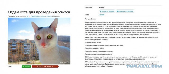 Смешные комментарии 31.05.2015