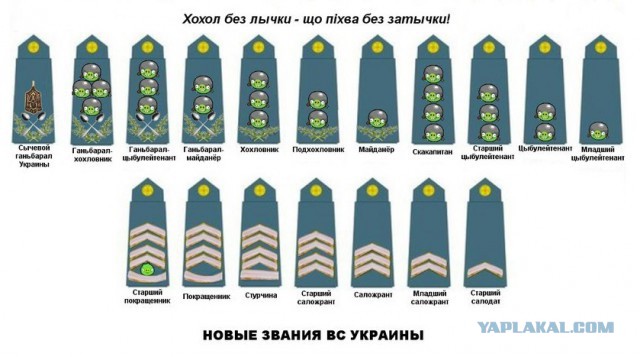Новая форма Вооруженных Сил Украины