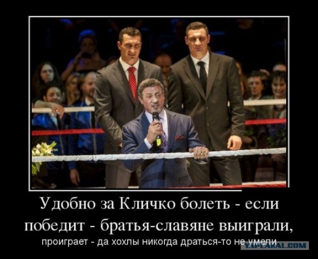 Международные отношения