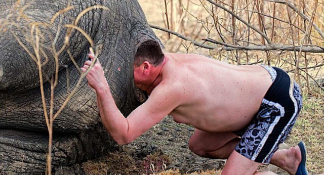 Жаба: Фотолюбитель