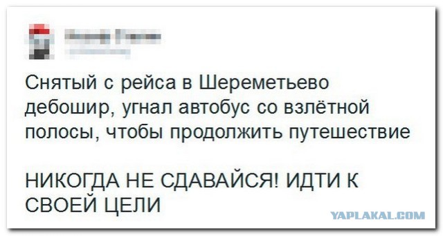 Смешные комментарии 07.01.2016
