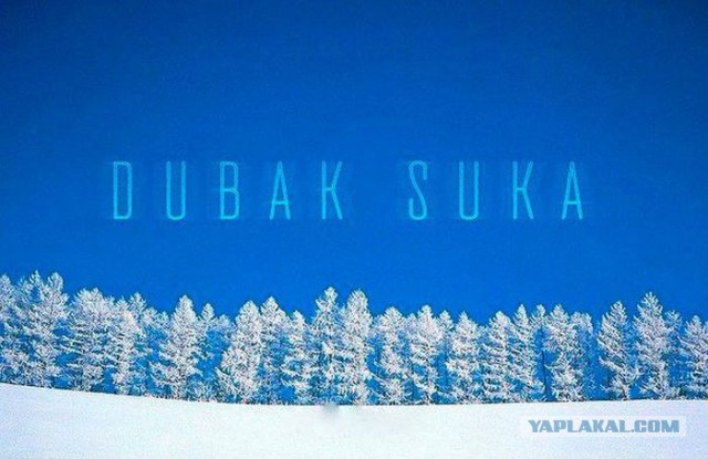 Что это было!? Русский, наверное...