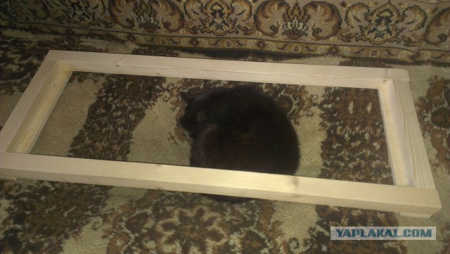Те, которым мы помогли.