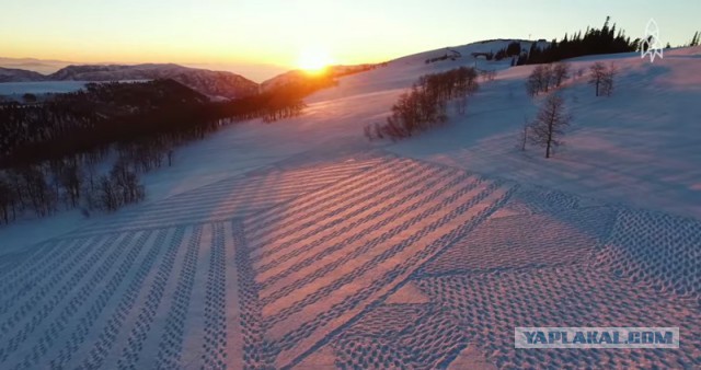 Когда ну очень долго ждешь кого-то на улице