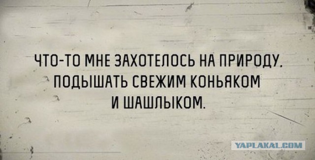 Картинки из Интернетов