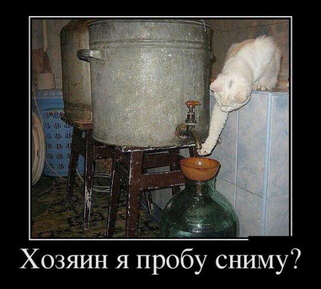 Есть смешные (картинки)