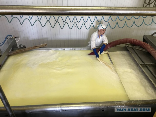 Старейший маслосырозавод в России. Или где придумали сыр "Советский"?!