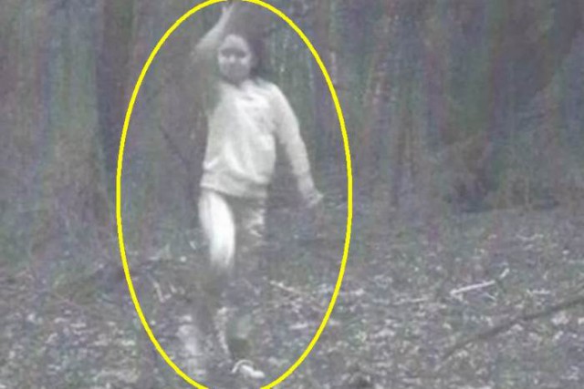 Забавные и страшные фотографии фотоловушек!