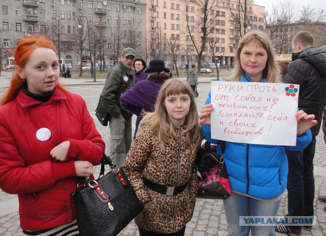 Трагедия в Истре. Мнение зоозащиты.