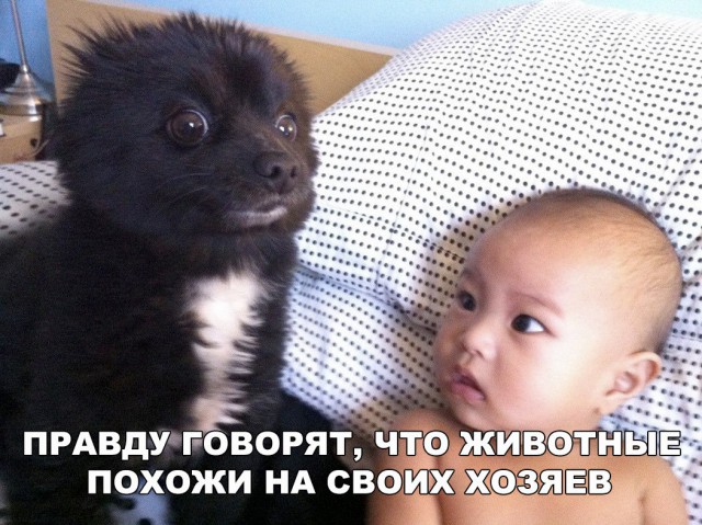 Нестандартный юмор