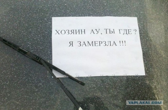 Хозяина убили или хозяйка забыла где припарковала?