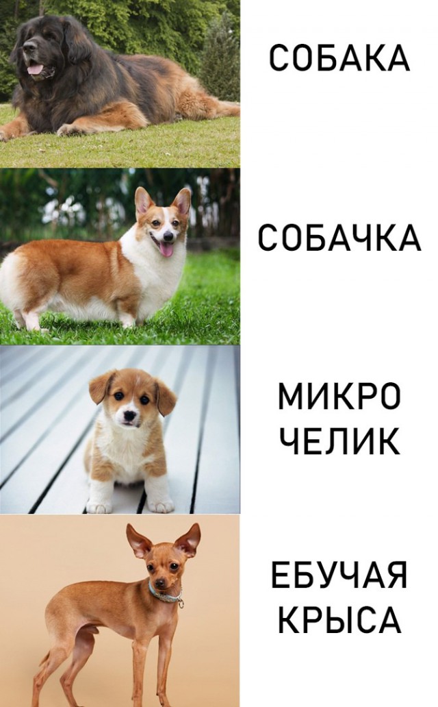 Немного картинок для настроения