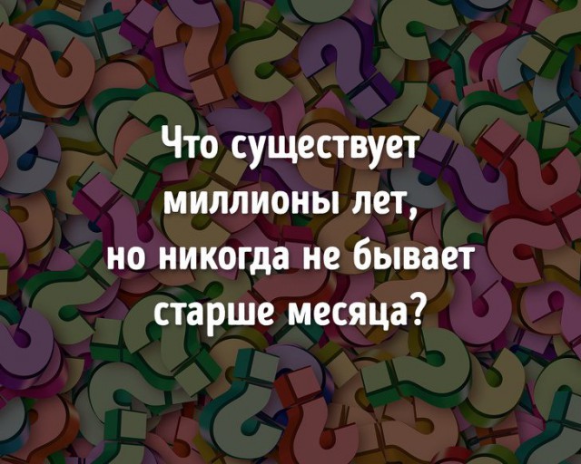 14 ядрёных задачек на логику