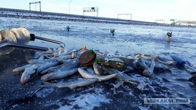 Застрявшие во льдах Байкала. Фотографии авто "любителей льда" от МЧС