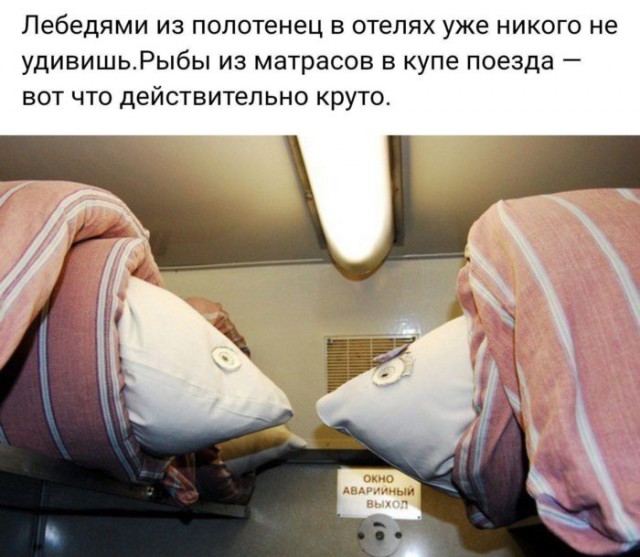 Подборка интересных и веселых картинок 23.05.19