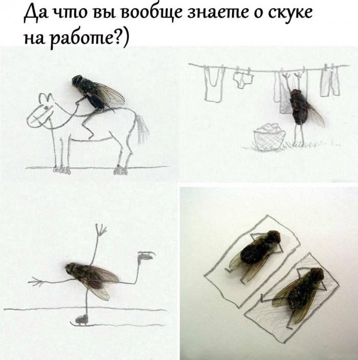 Прикольные картинки абавсём