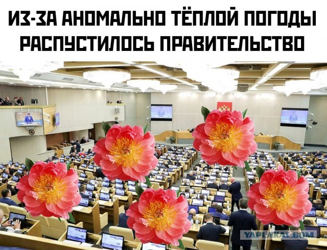 Чуток картинок! 15.01.2020