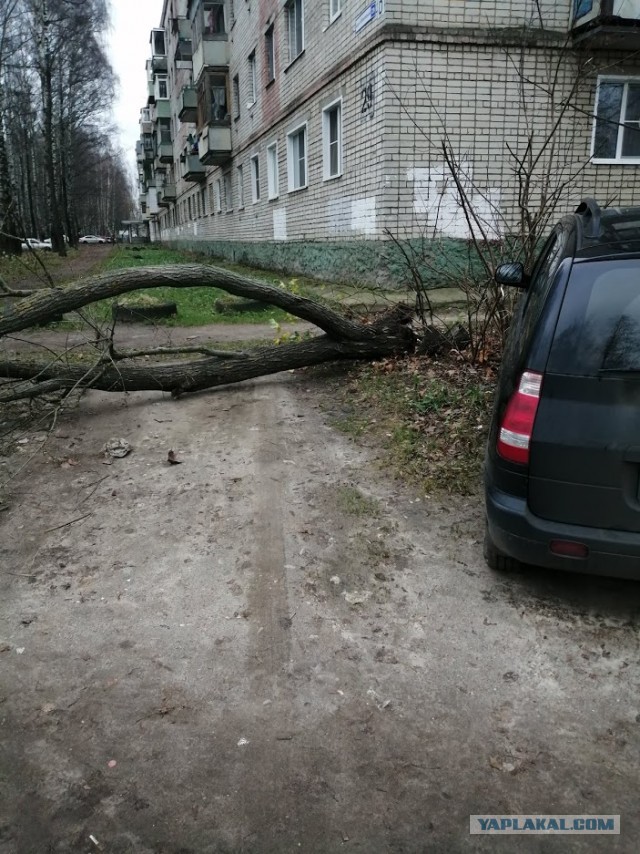 А кто на чем передвигается?