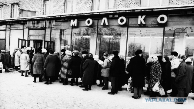Картинок разных, со смыслом и без