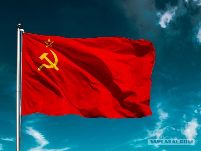 2020 год. Чудовищные изменения реального мира
