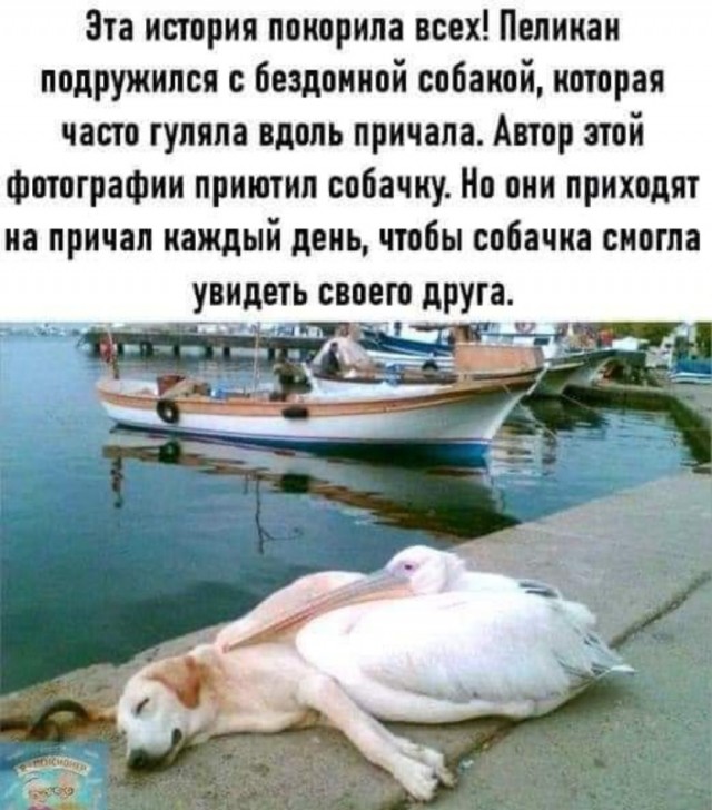 Бредзона 14.12.20