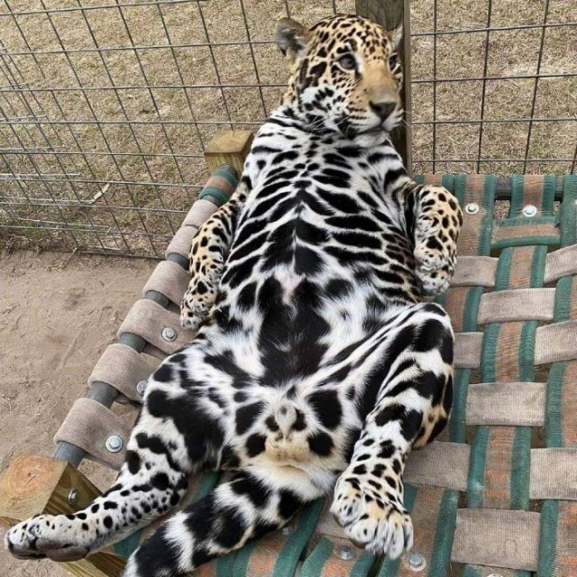 Просто свежие картинки