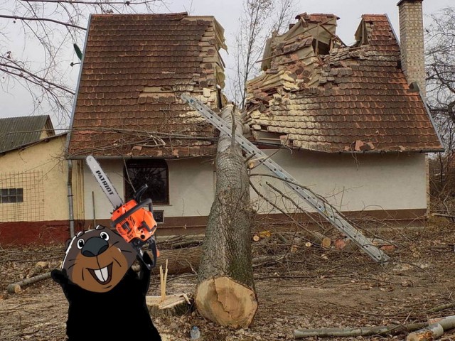 Весёлый полтишок 17.02