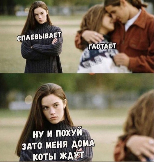 Картинки с котами и про котов