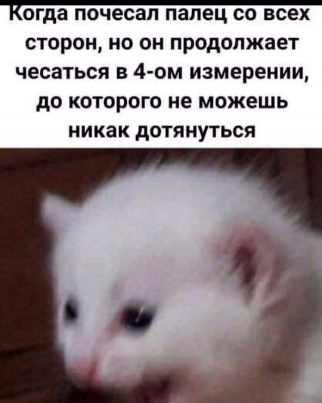 Картинки и мемы для настроения 13.04.2021