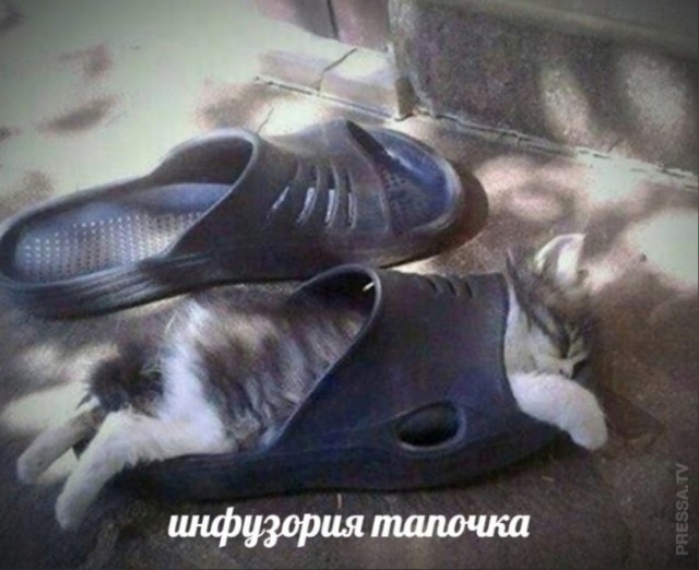 Картинки и мемы для настроения 020