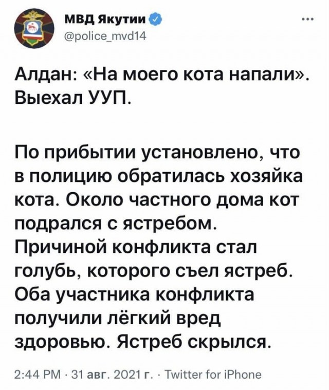 Картинки и мемы для настроения 001