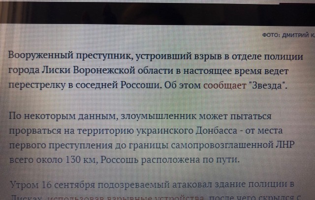 Напавший на полицейский участок в Лисках занимался фермерством, с убитой им семьей курдов у него был конфликт