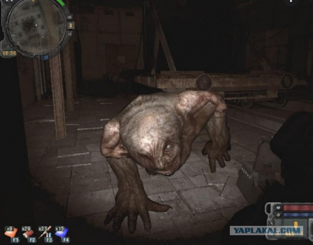 Самый быстрый человек на двух руках