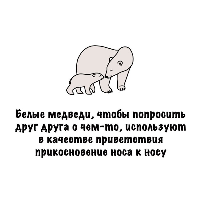 Картинки на субботу
