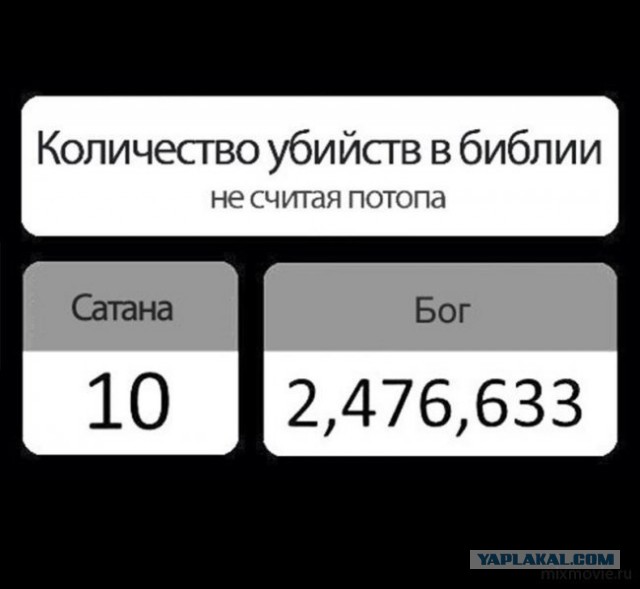 Полиция начала проверку в отношении очередной хайпожорки