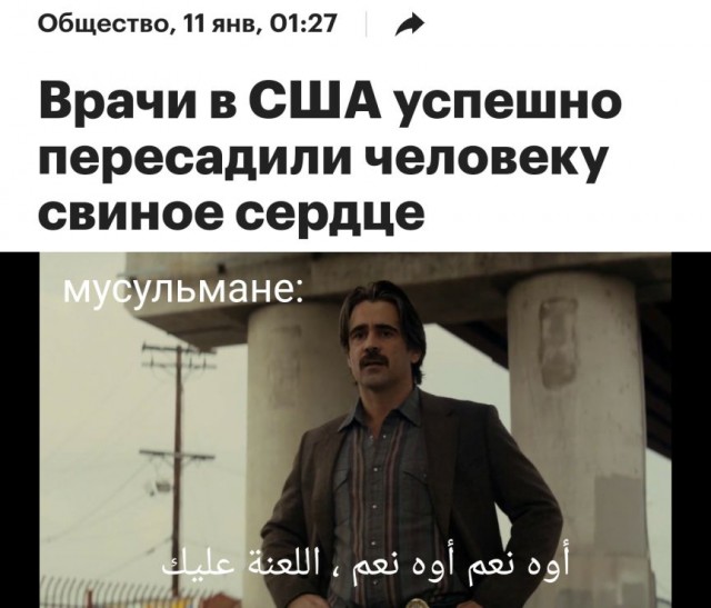 Аморальная деградация